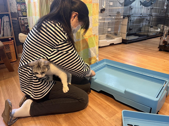 釜石キャンパス 学校についてのお悩み、ご相談受け付けております!