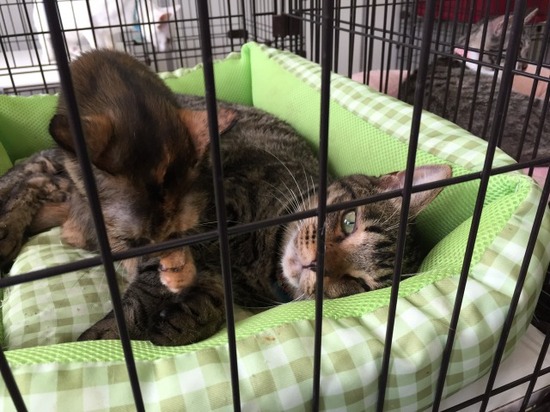 釜石キャンパス☆R5年度新入学願書まだまだ受付中♪