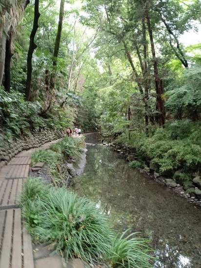 等々力渓谷~多摩川土手沿いウォーキング