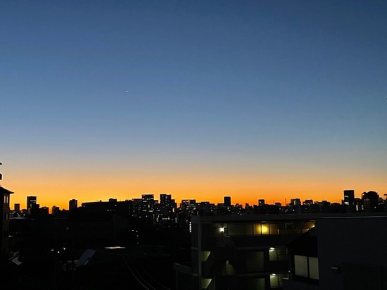 【若者は街に育てられる】 東京という「世界都市」で生きるということ #木曜日の気づき vol.25