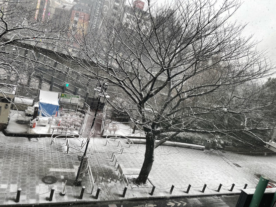 c 【東京】東京にはこの弱点がありました。 東京 原宿 表参道 池袋サンシャイン 通信制高校 サポート校