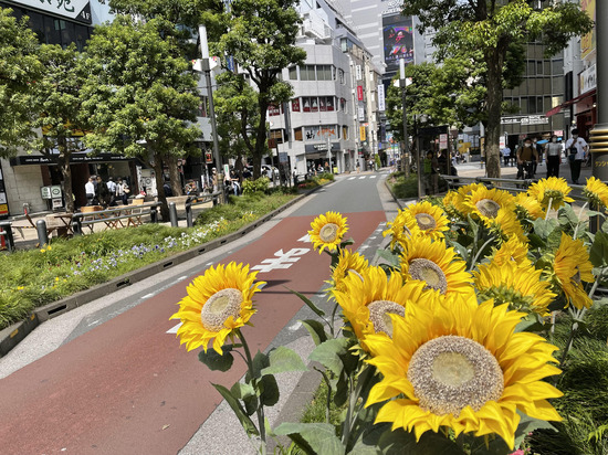 「道の途中に立つ、あなたへ」 #日曜日の決意 Vol.1