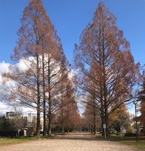 スクーリング&テスト