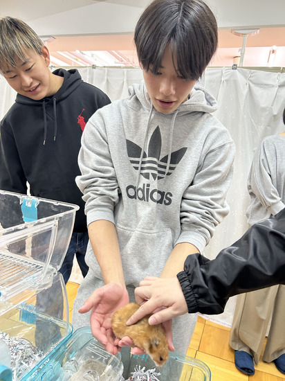 動物ふれあい体験!