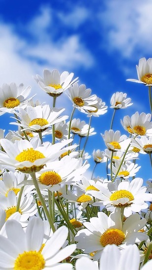 前進前進(3歩進んで2歩下がる♪)