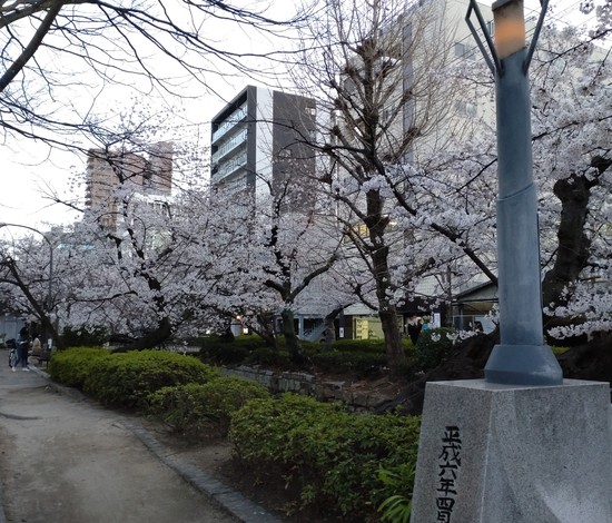 新年度スタートしました・・・今年度の新たな取り組みは・・・