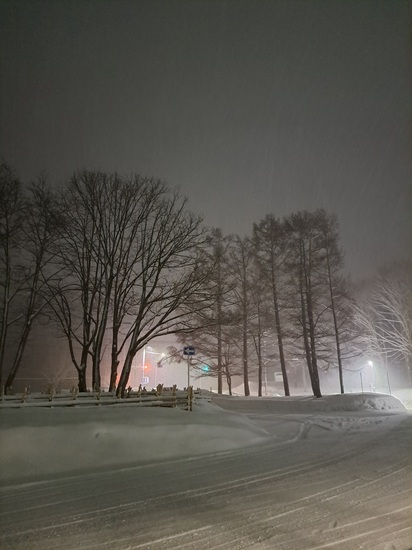 今年度のスクーリング・単位認定試験、終了