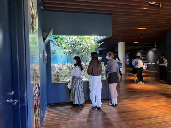 特別活動で水族館に行きました(^^)/☆新潟キャンパス☆