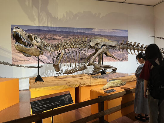 特別活動で「化石ハンター展」に行きました!《新潟キャンパス》