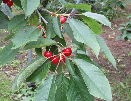 学校のお悩みをお持ちの方、ご相談ください!二戸キャンパス