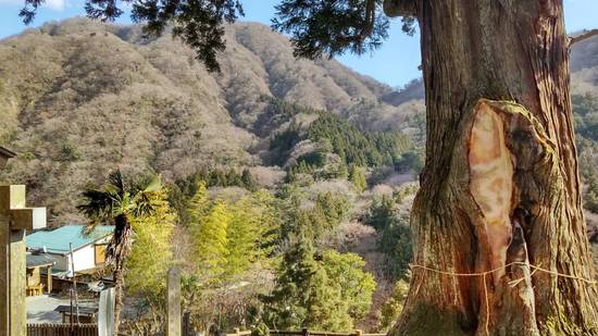 スクーリング行ってきました!