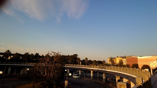 ディズニーランドツアー(2025.1.15)