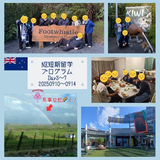 ✈️【海外留学プログラムレポート②】