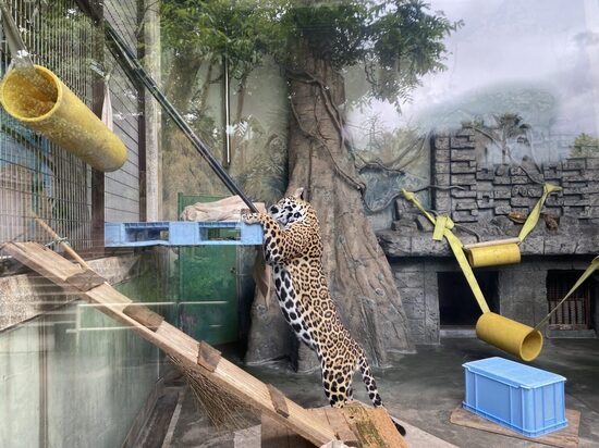 遠足へ行ってきました!(^^)!【松原学習センター】