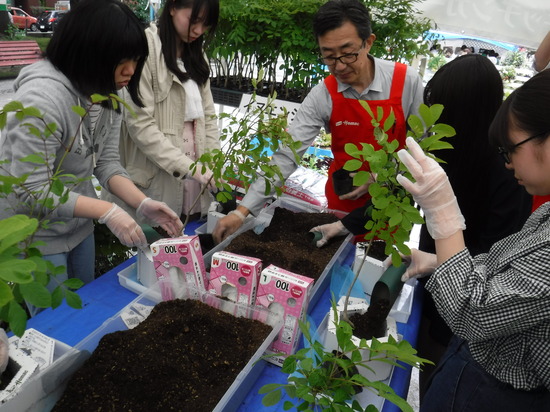 花フェスタ札幌 で植樹体験 ブログ エコール札幌 鹿島朝日高等学校 通信制高校 カシマの通信